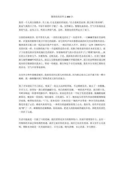 偶得的美好作文800字全面版