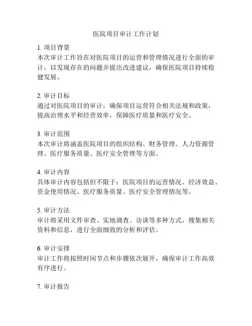 医院项目审计工作计划