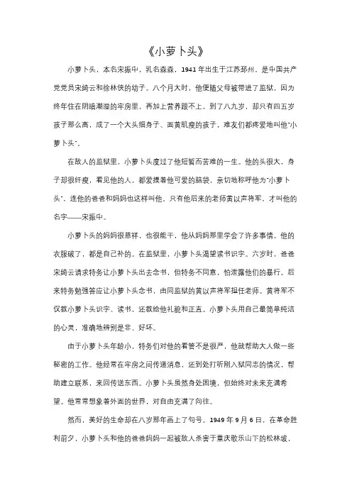 红色故事《小萝卜头》文字版