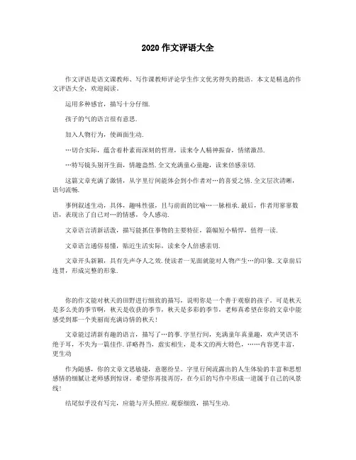 2020作文评语大全