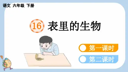 统编版六年级下册语文《 表里的生物》【新课标版】PPT课件(完整版)
