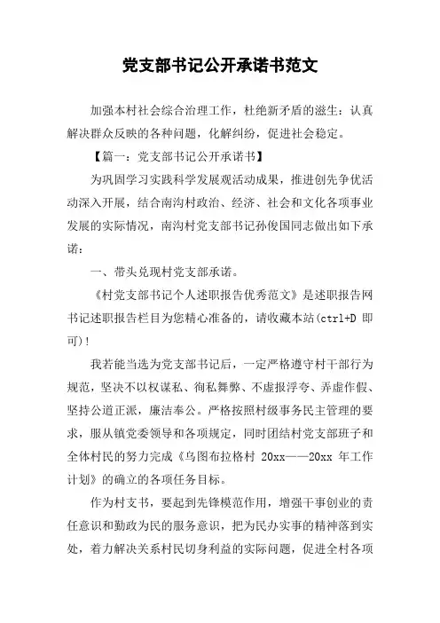 党支部书记公开承诺书范文