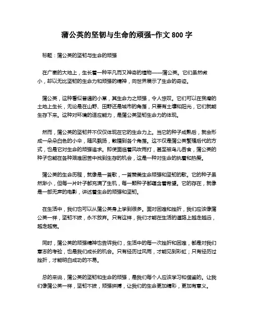 蒲公英的坚韧与生命的顽强-作文800字