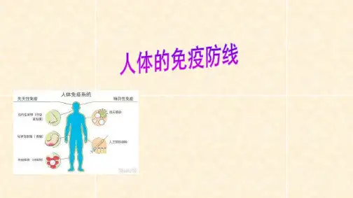 苏科版八年级生物下册 人体的免疫防线课件
