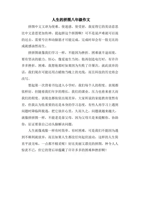 人生的拼图八年级作文