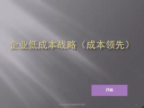 企业低成本战略成本领先课件