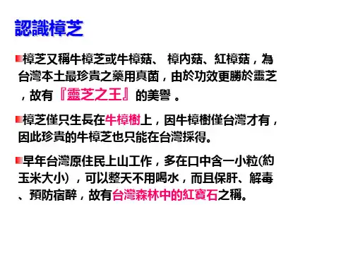 牛樟芝的作用及功效