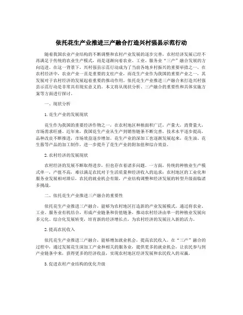 依托花生产业推进三产融合打造兴村强县示范行动