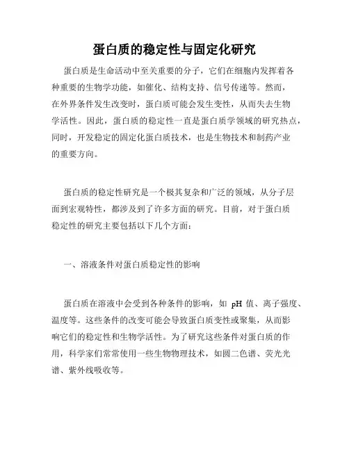 蛋白质的稳定性与固定化研究