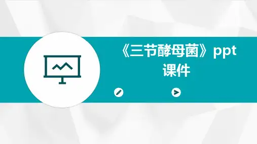《三节酵母菌》课件