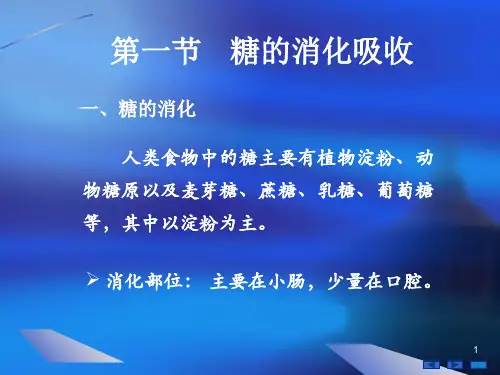 生物化学第九章糖的消化与吸收ppt演示课件