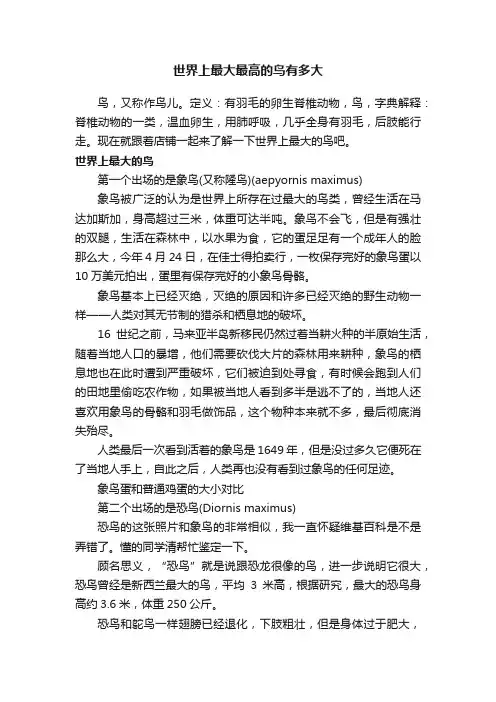 世界上最大最高的鸟有多大