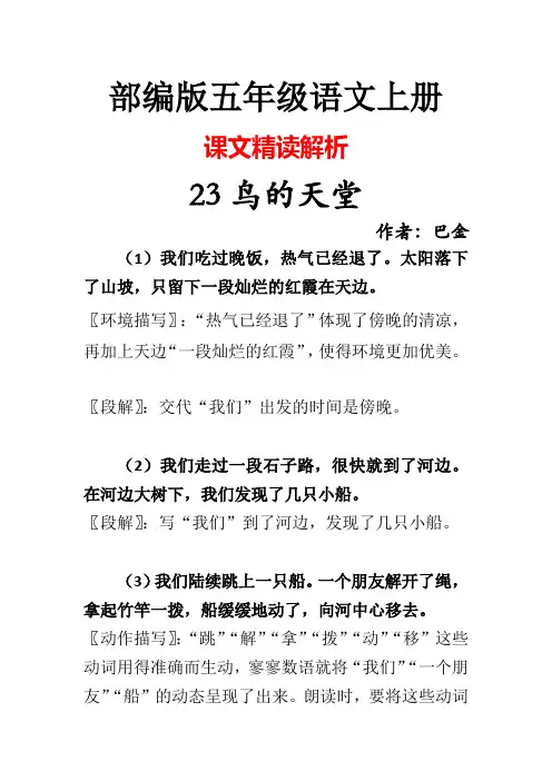 部编版五年级语文上册23鸟的天堂课文精读解析
