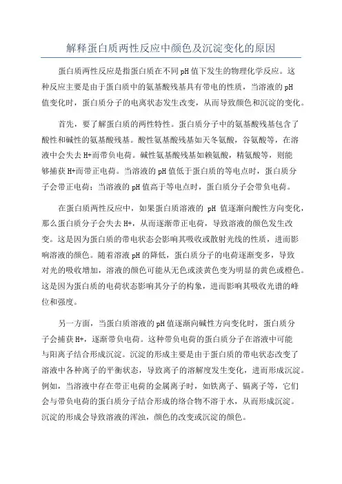 解释蛋白质两性反应中颜色及沉淀变化的原因