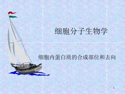 (推荐)《细胞分子生物学》PPT课件