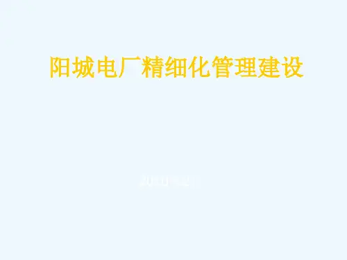 某电厂精细化管理建设讲义