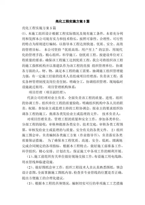 亮化工程实施方案5篇
