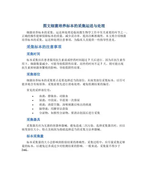 图文细菌培养标本的采集运送与处理
