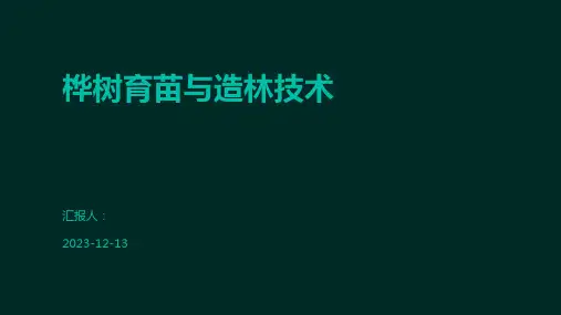 桦树育苗与造林技术