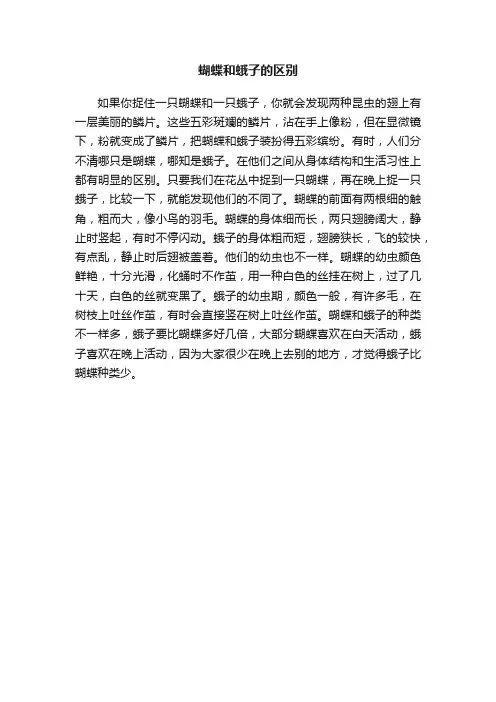 蝴蝶和蛾子的区别