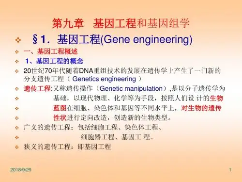 遗传学 第九章 基因工程和基因组学  PPT课件