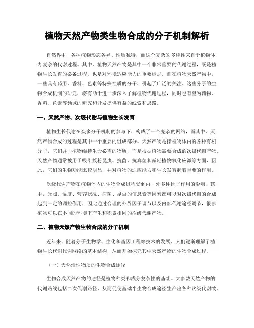 植物天然产物类生物合成的分子机制解析