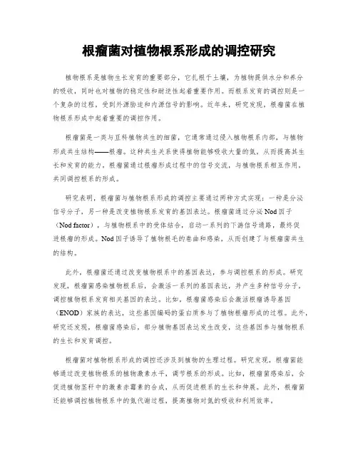 根瘤菌对植物根系形成的调控研究