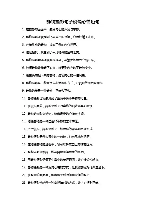 静物摄影句子说说心情短句