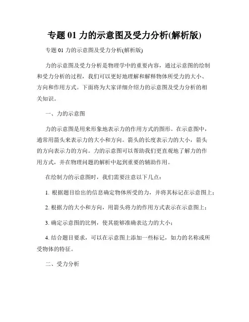 专题01 力的示意图及受力分析(解析版)