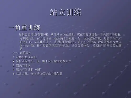 步行与移动能力的训练概述PPT课件