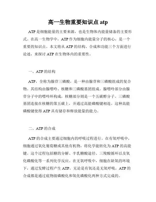 高一生物重要知识点atp