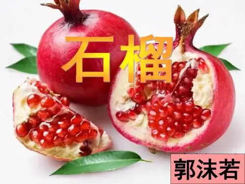 石榴第一课时课件