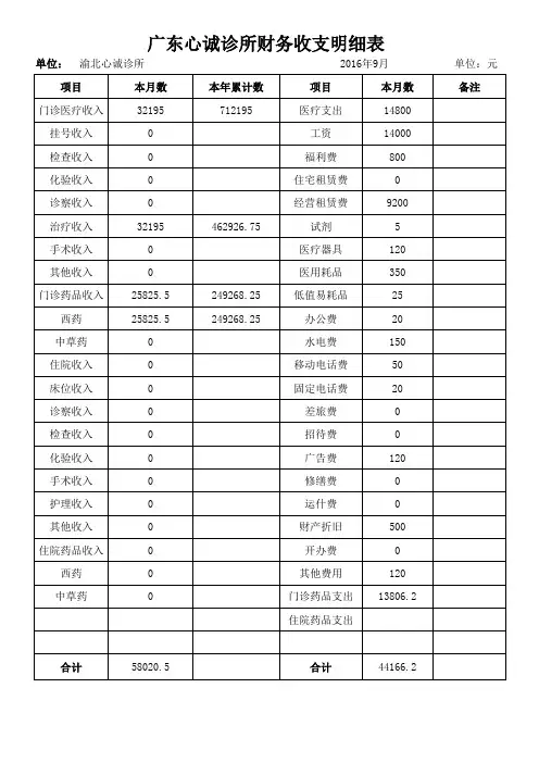 诊所收支明细表