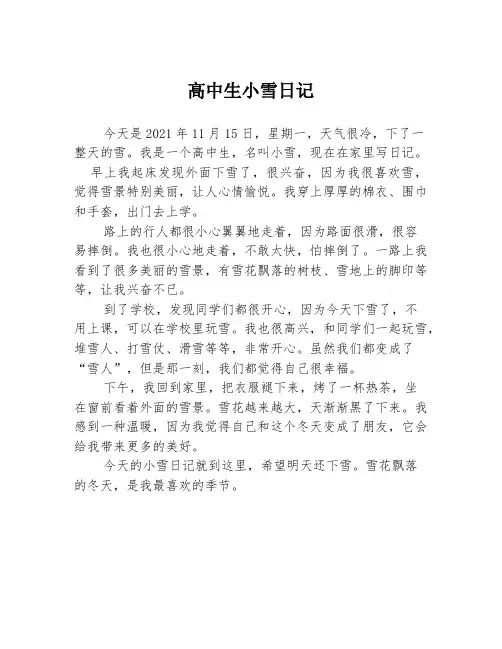 高中生小雪日记