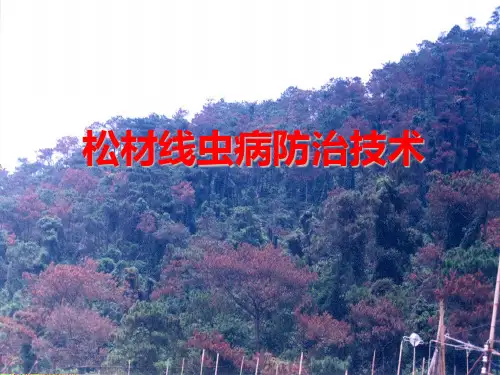 松材线虫病培训课件