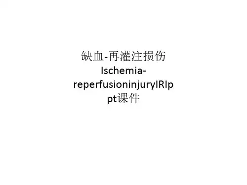 缺血-再灌注损伤Ischemia-reperfusioninjuryIRIppt课件
