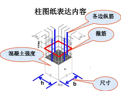 柱配筋图讲解