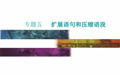 扩展语句高考语文专项复习优质课件