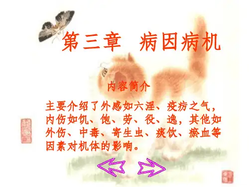 《病因病机》PPT课件 (2)