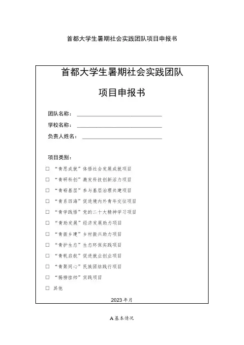 首都大学生暑期社会实践团队项目申报书