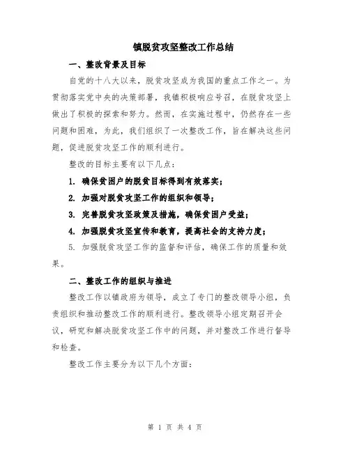 镇脱贫攻坚整改工作总结