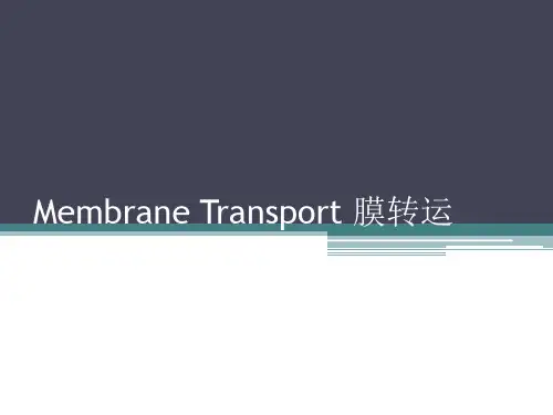 生理学课件：细胞膜的物质转运功能