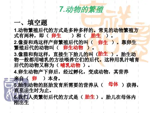 7动物的繁殖
