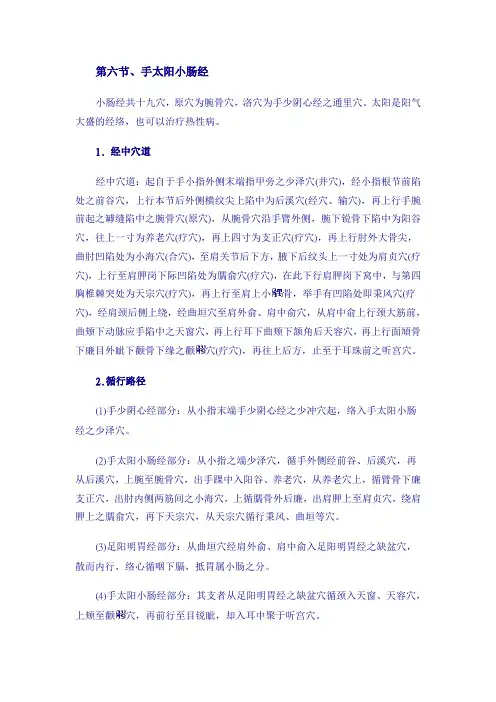 手太阳小肠经