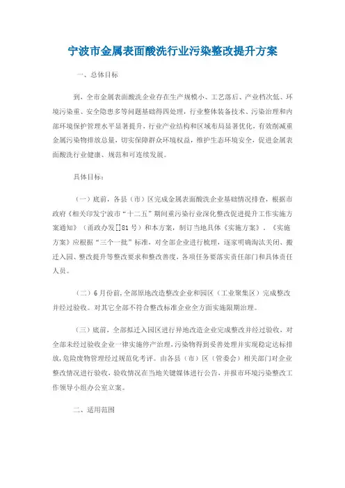 宁波市金属表面酸洗行业污染整治提升专项方案