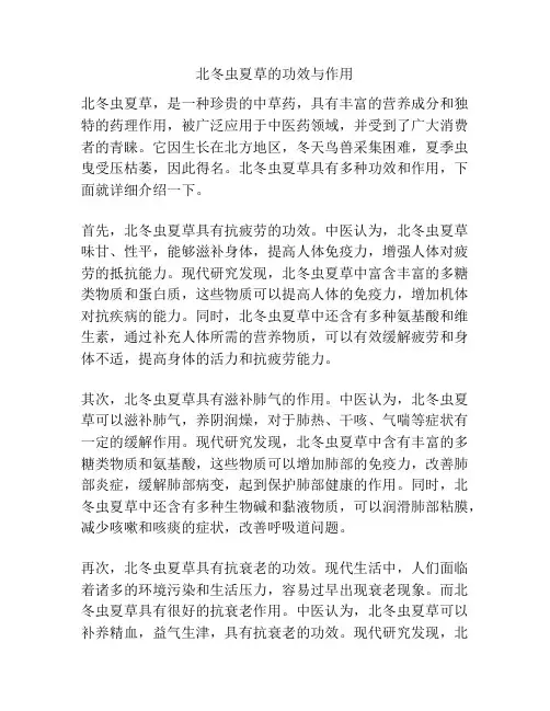 北冬虫夏草的功效与作用