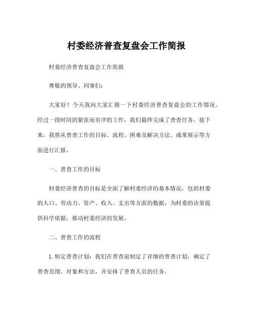 村委经济普查复盘会工作简报