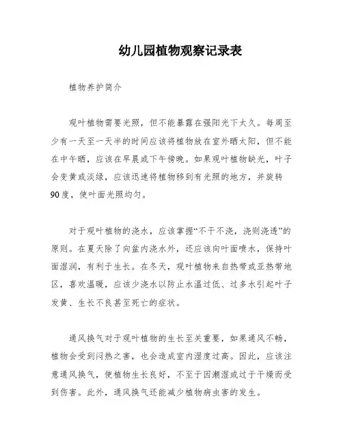 幼儿园植物观察记录表