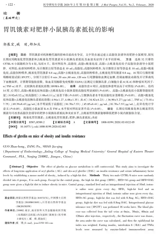 胃饥饿素对肥胖小鼠胰岛素抵抗的影响