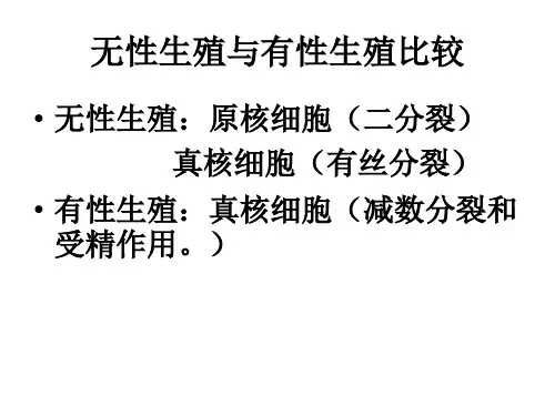 细胞增殖2高三复习课(公开课)